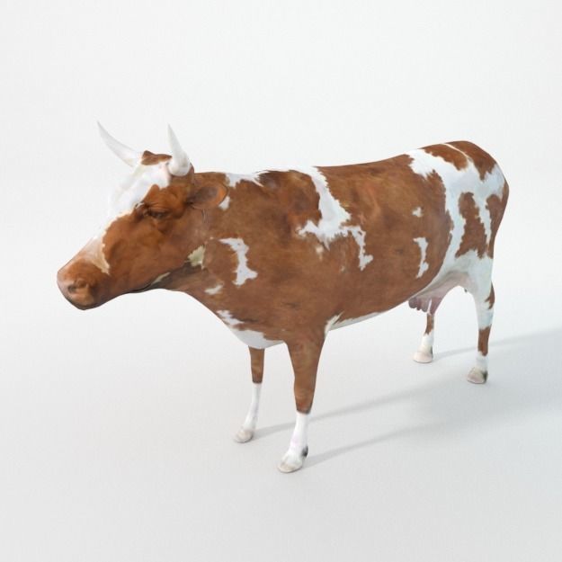 3D model 25 Farm Domestic Animal Models Pack VR / AR / lowpoly