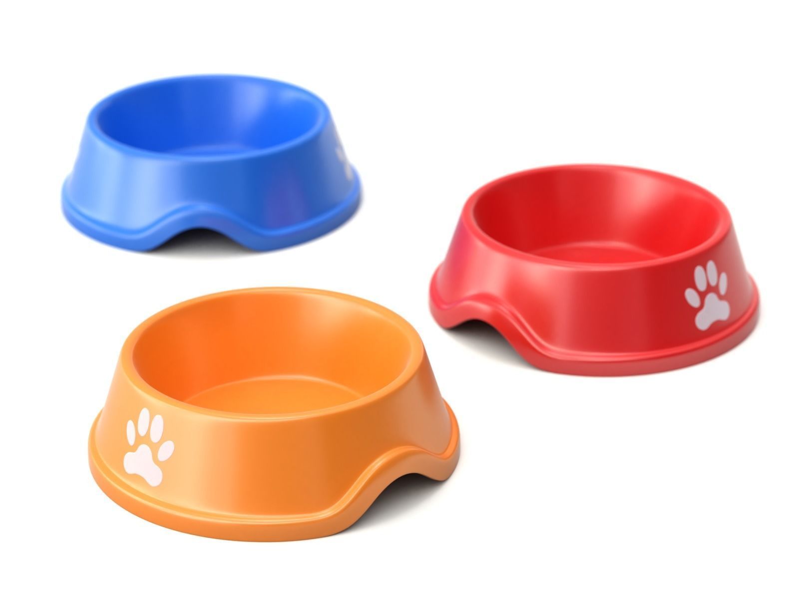 Metal and Plastic Dog Bowl 3D model CGTrader