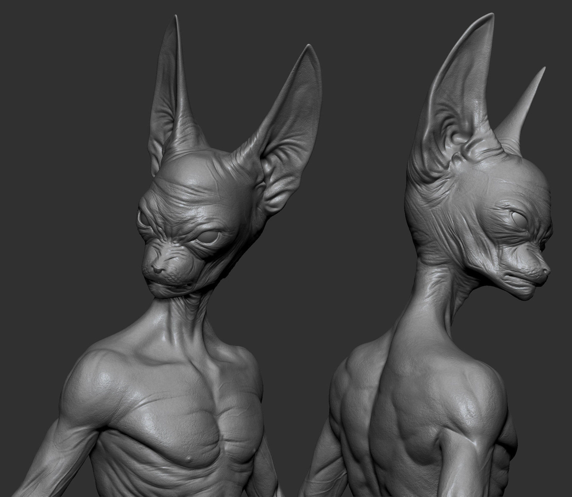 Beerus Model Lord Beerus 3D model 3D printable | CGTrader