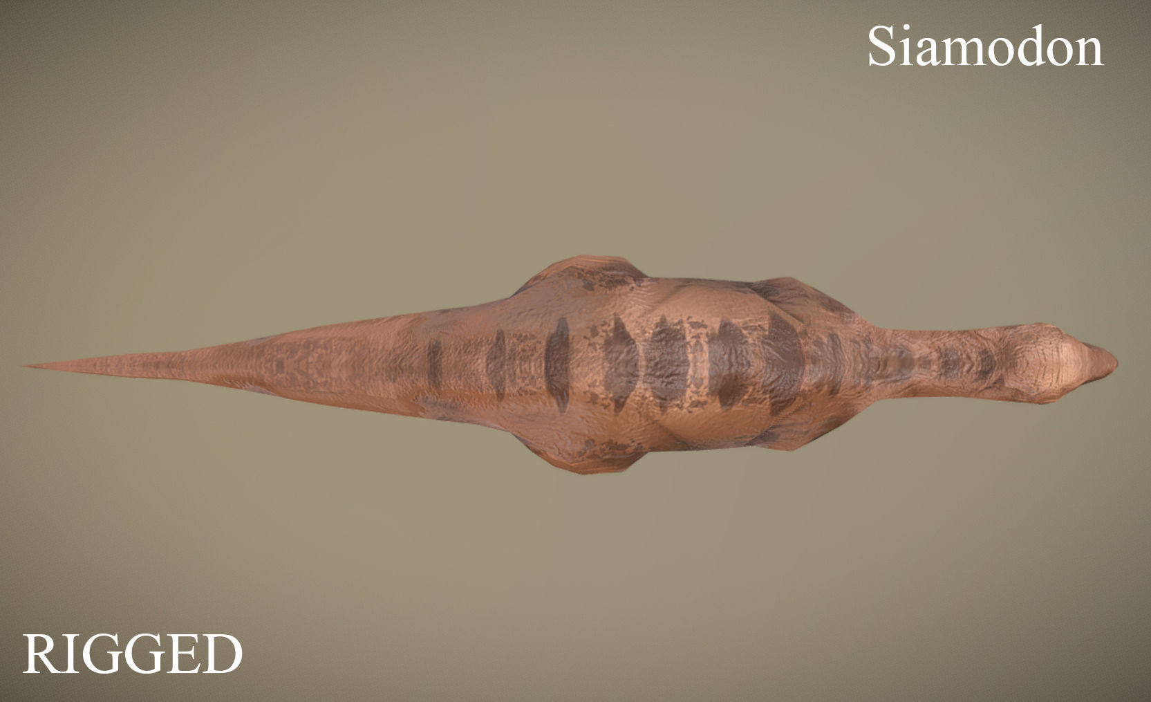 3D model Thai Dinosaur Siamodon VR / AR / lowpoly rigged CGTrader