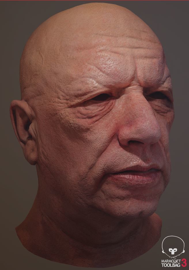 3D Head Model