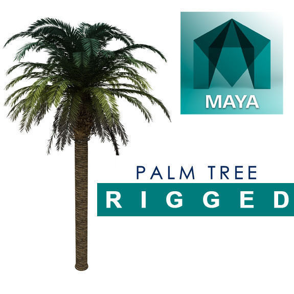 HD Palm Tree Rigged