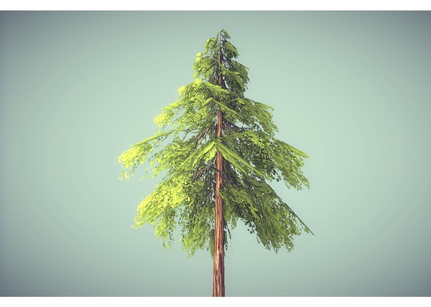 pine tree free 3D model | CGTrader