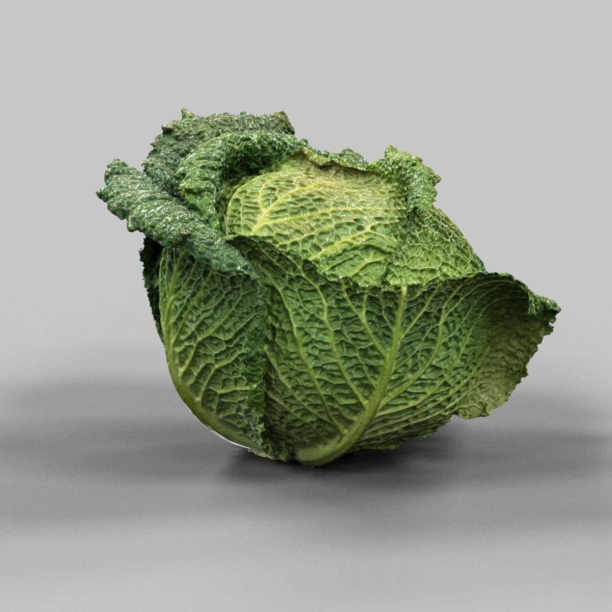 Savoy Cabbage