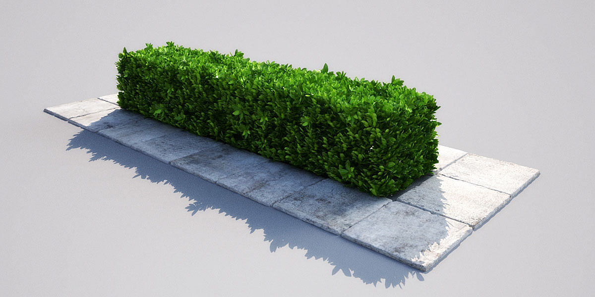 hedge 1601 AM148 3D model CGTrader