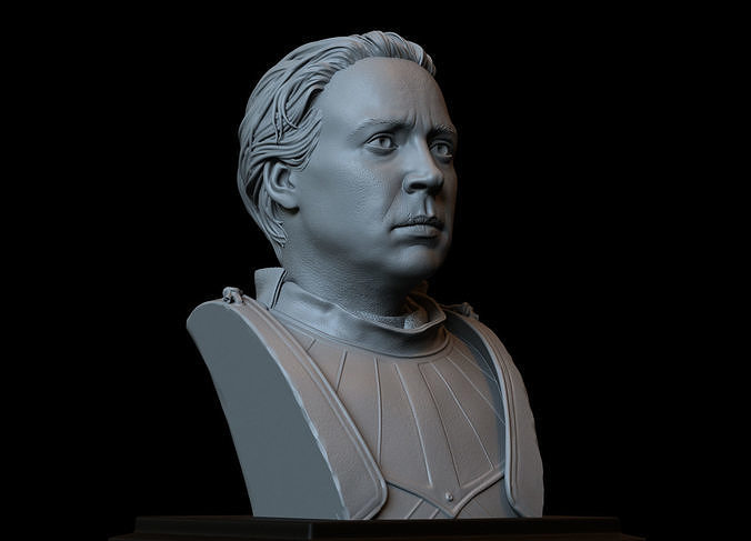 Brienne of Tarth from Game of Thrones Bust 200mm 3D model 3D printable ...