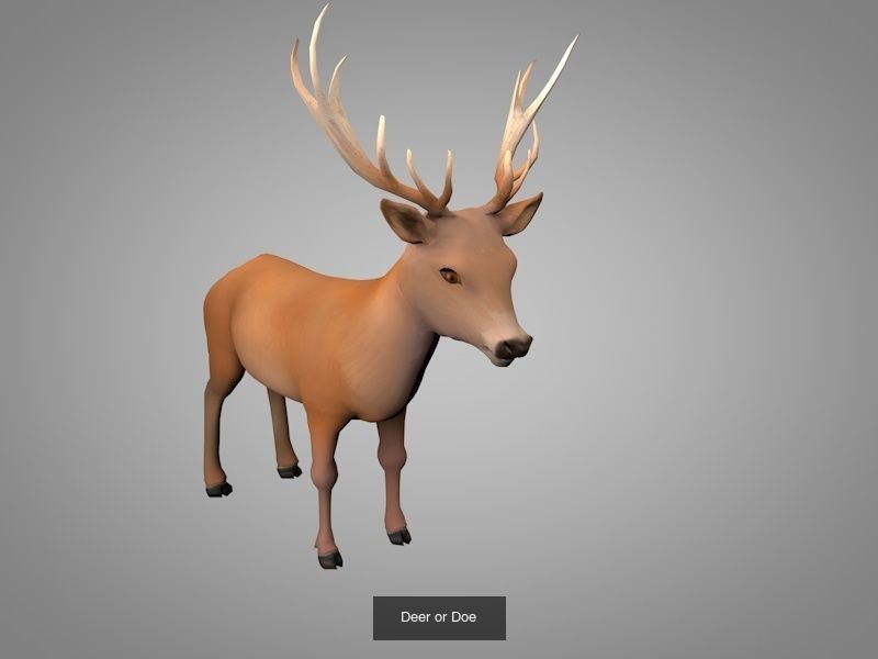 3D Model Collection Wild animals VR / AR / lowpoly CGTrader