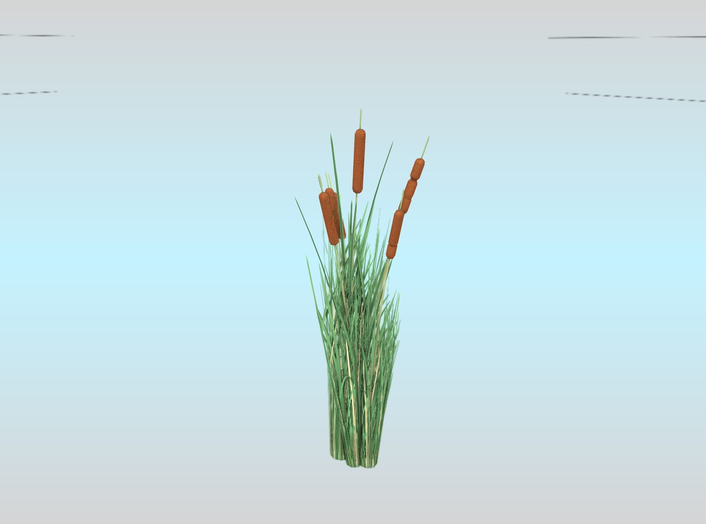 3D model Reeds - Object 23 VR / AR / low-poly | CGTrader