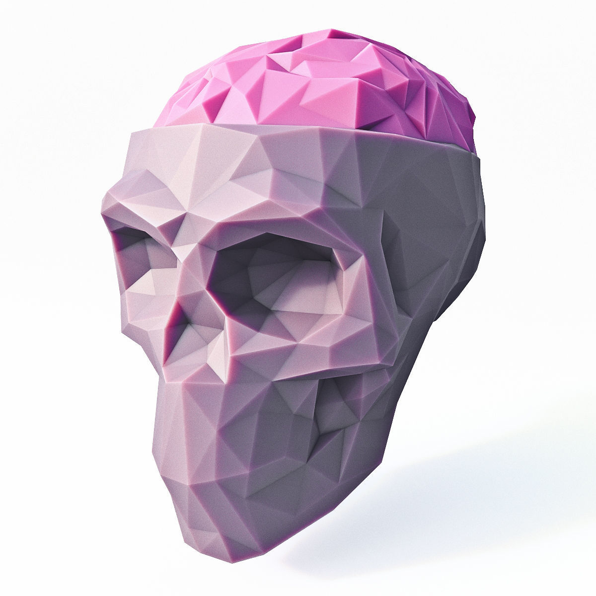 Low Poly Skull Brain Low-poly  3D model