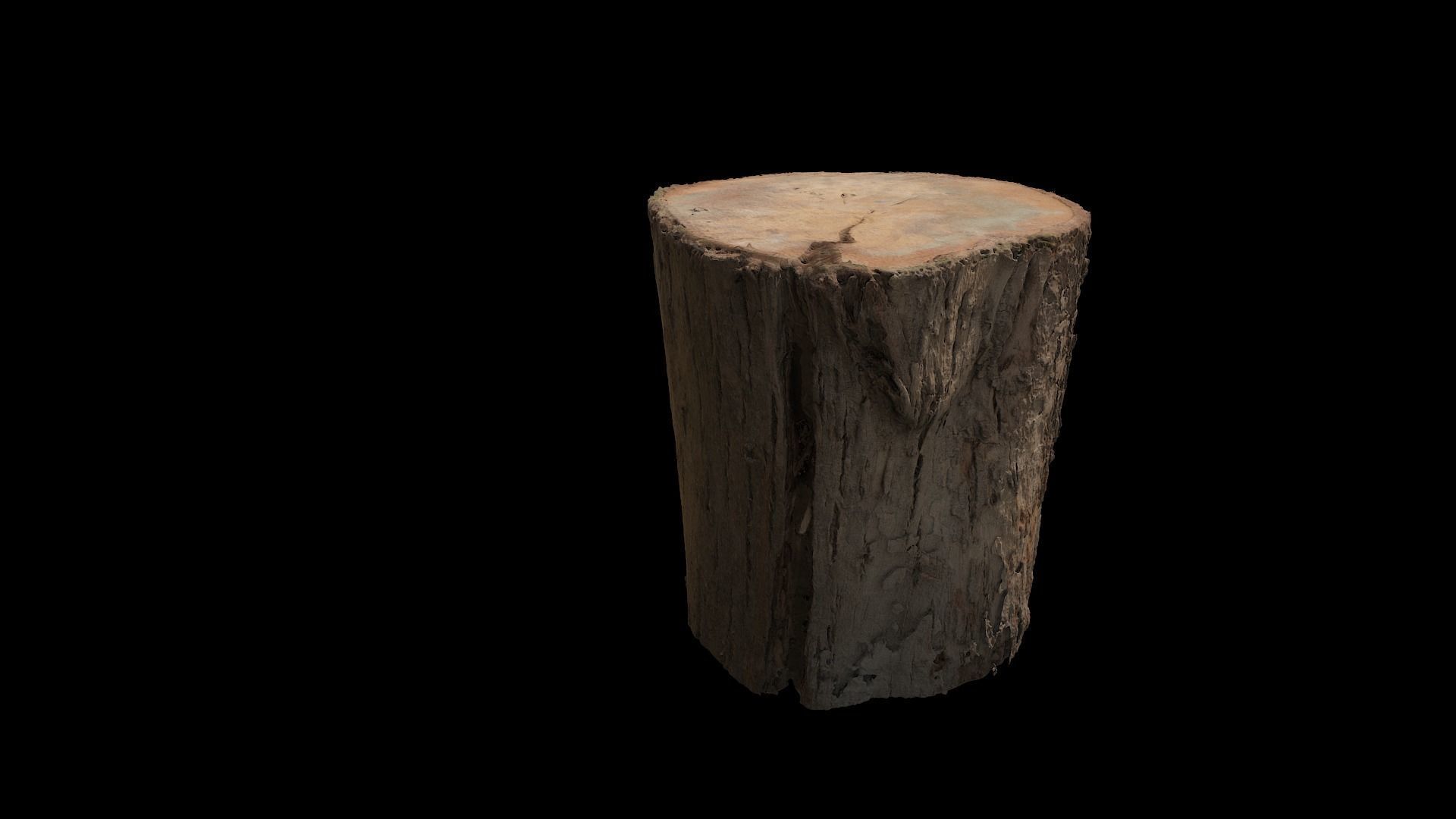 Realistic 3D model Scanning Trunk HD for print
