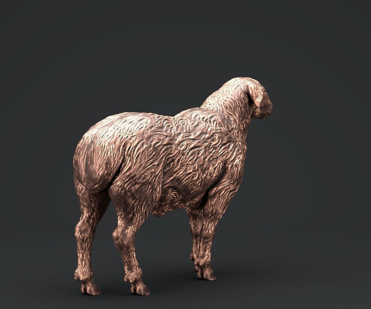 Sheep 3D model 3D printable | CGTrader