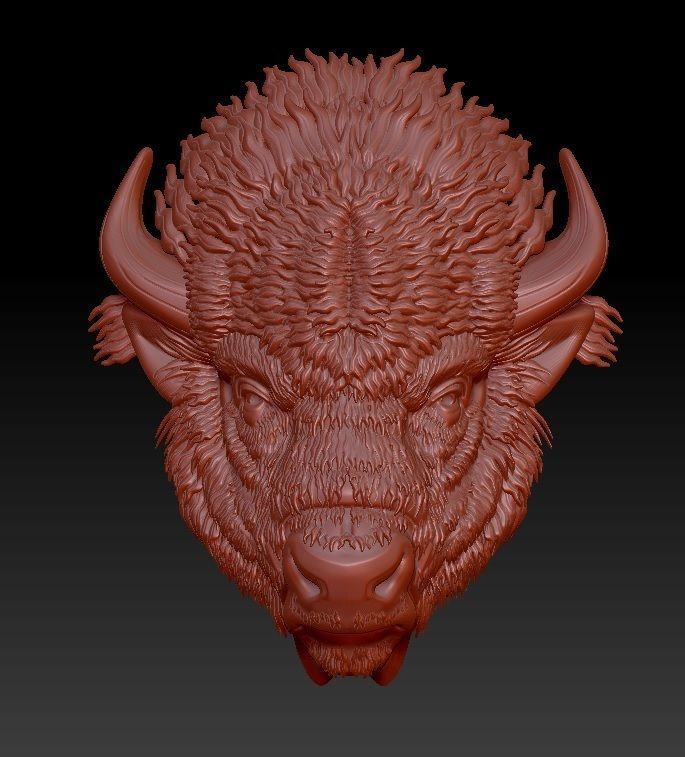 bison head