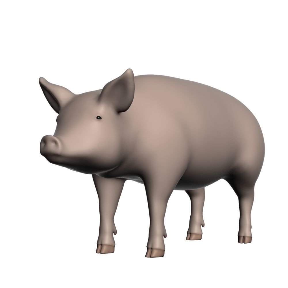 Realistic Pig 001