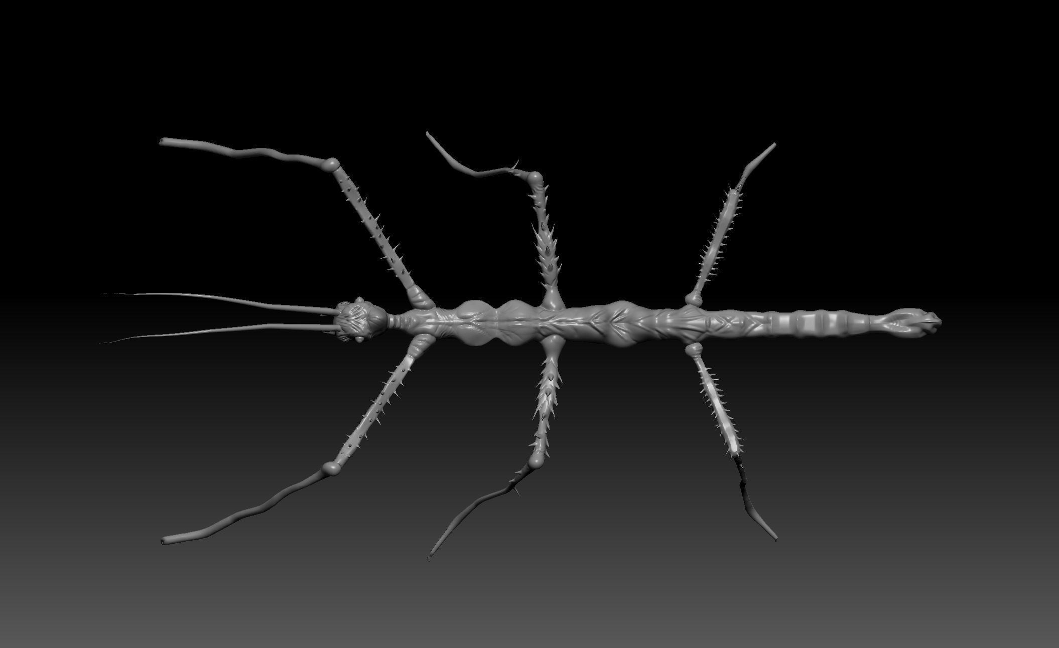 Giant StickBug 3D model CGTrader