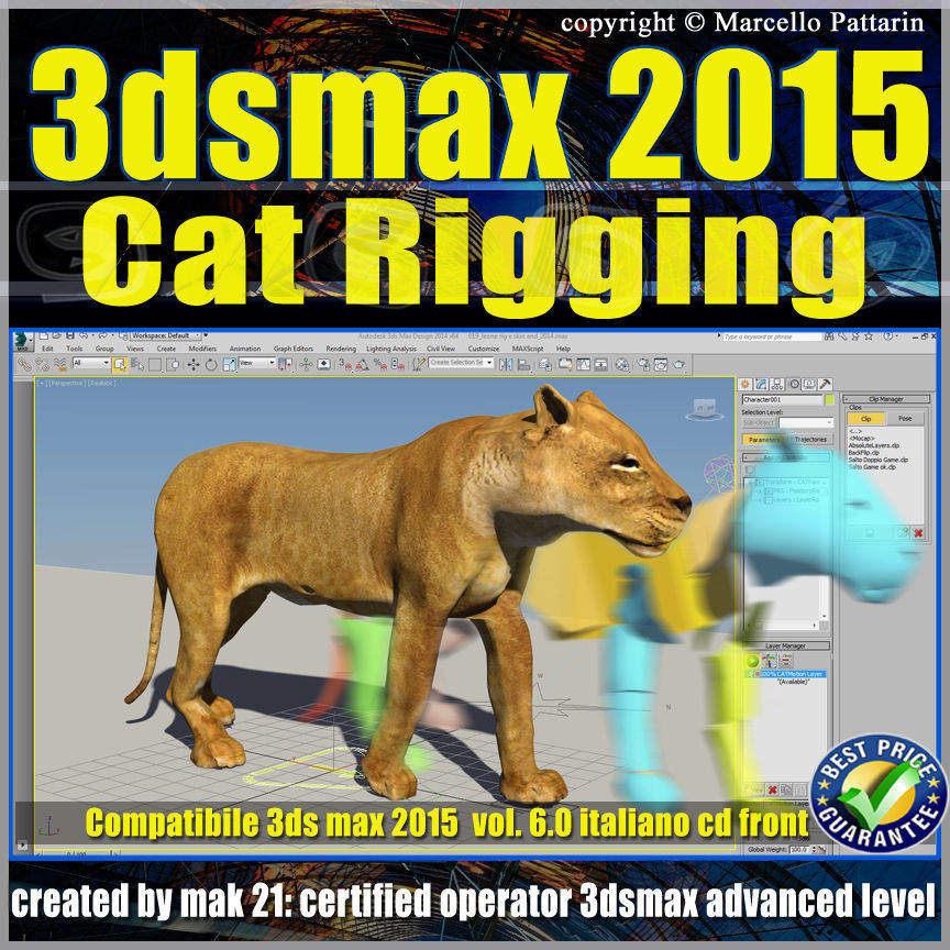 Video Corso 3ds max 2015 Cat Rigging volume 6 Italiano cd front