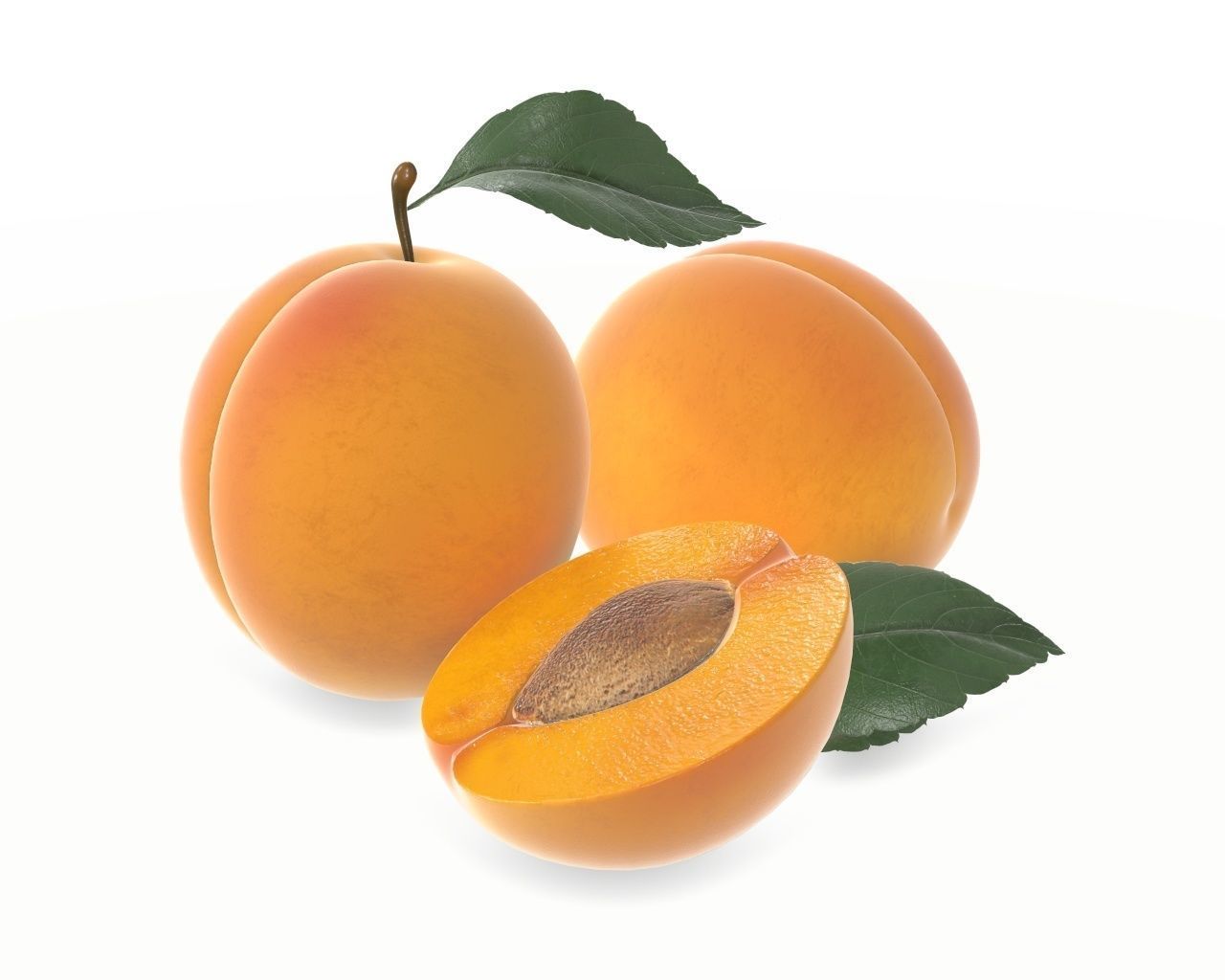 apricot fresh cut fruits with leaf