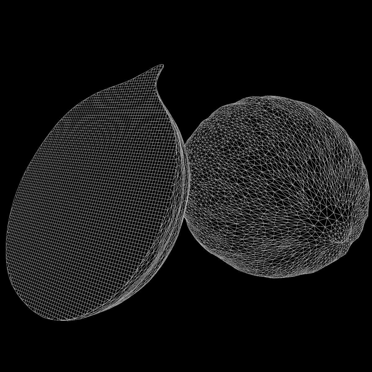 realistic melon scan model 3D model | CGTrader