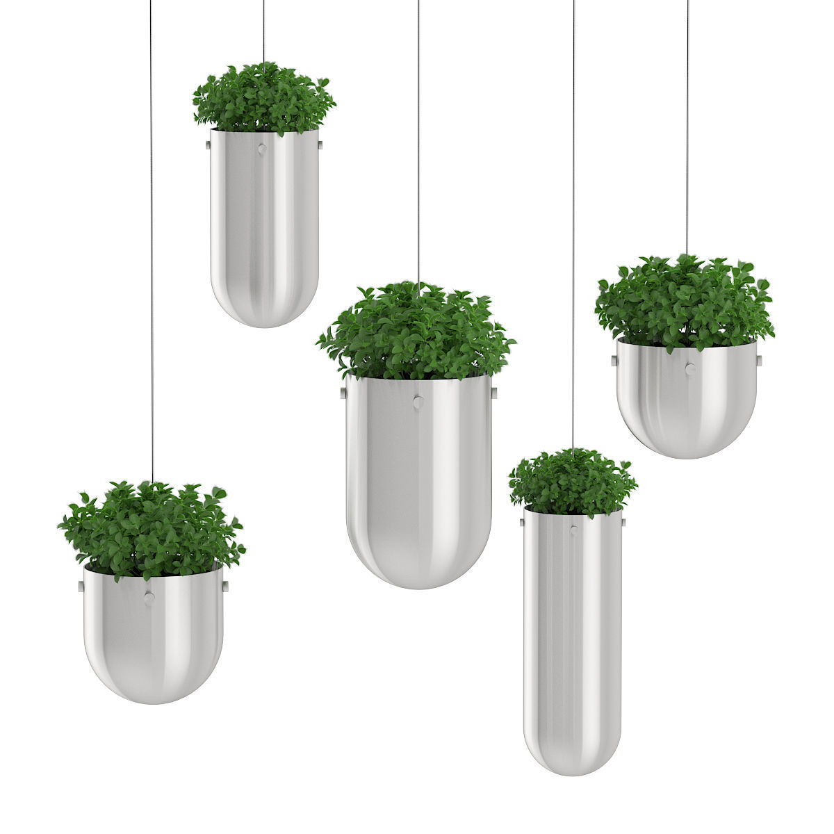 Plants