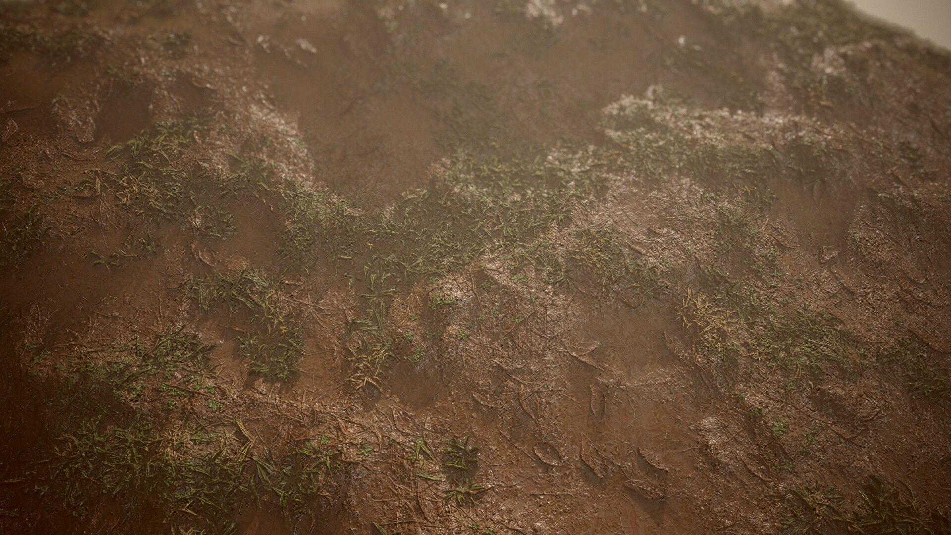 Mud Grass free Texture CGTrader