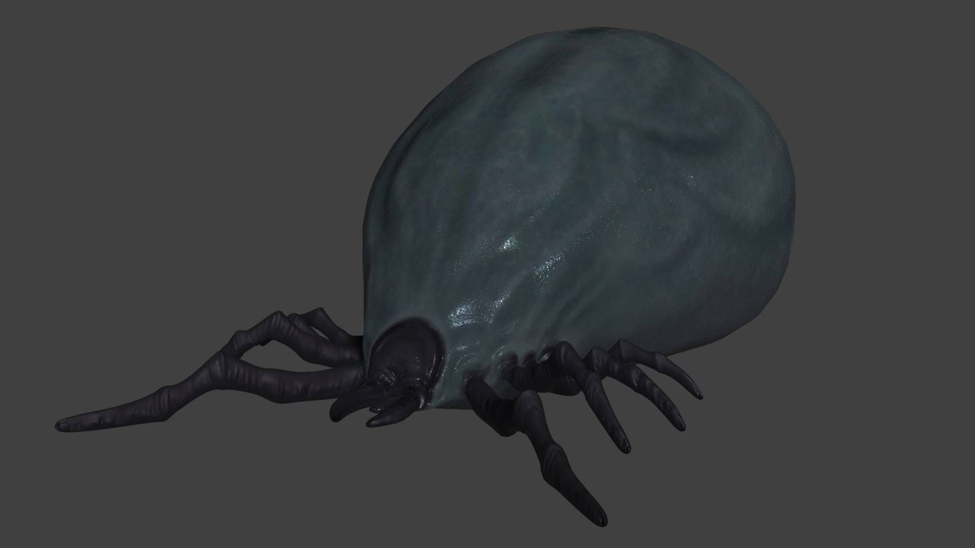 well fed tick