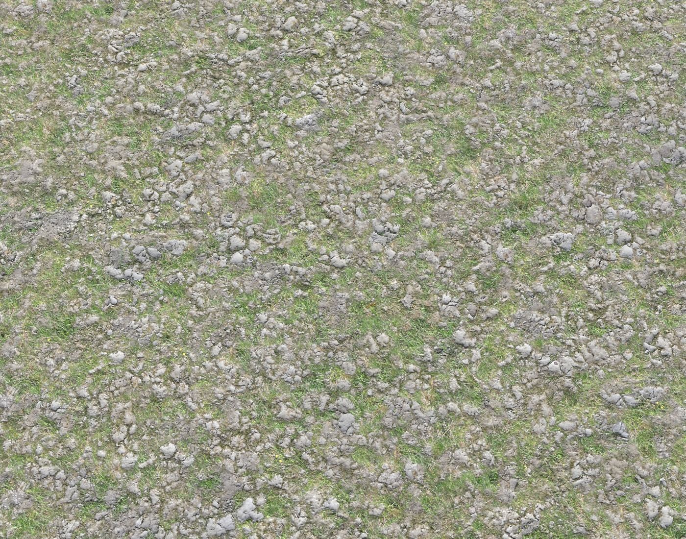 Rocky grass Terrain 4 PBR Texture | CGTrader