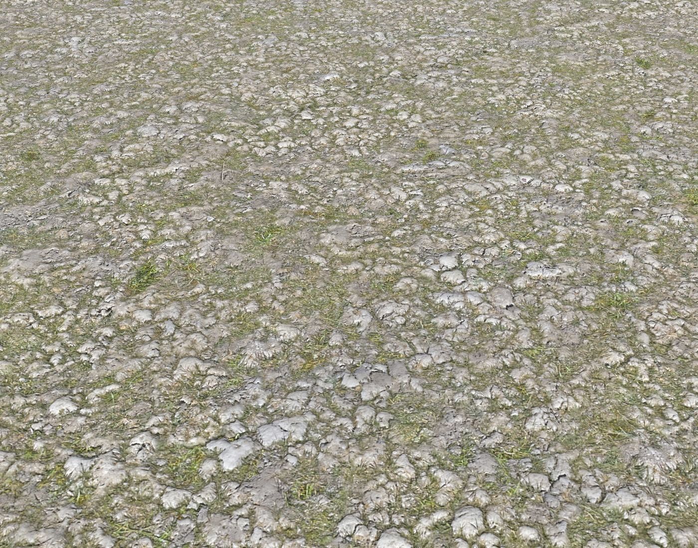 Rocky grass Terrain 1 PBR Texture | CGTrader