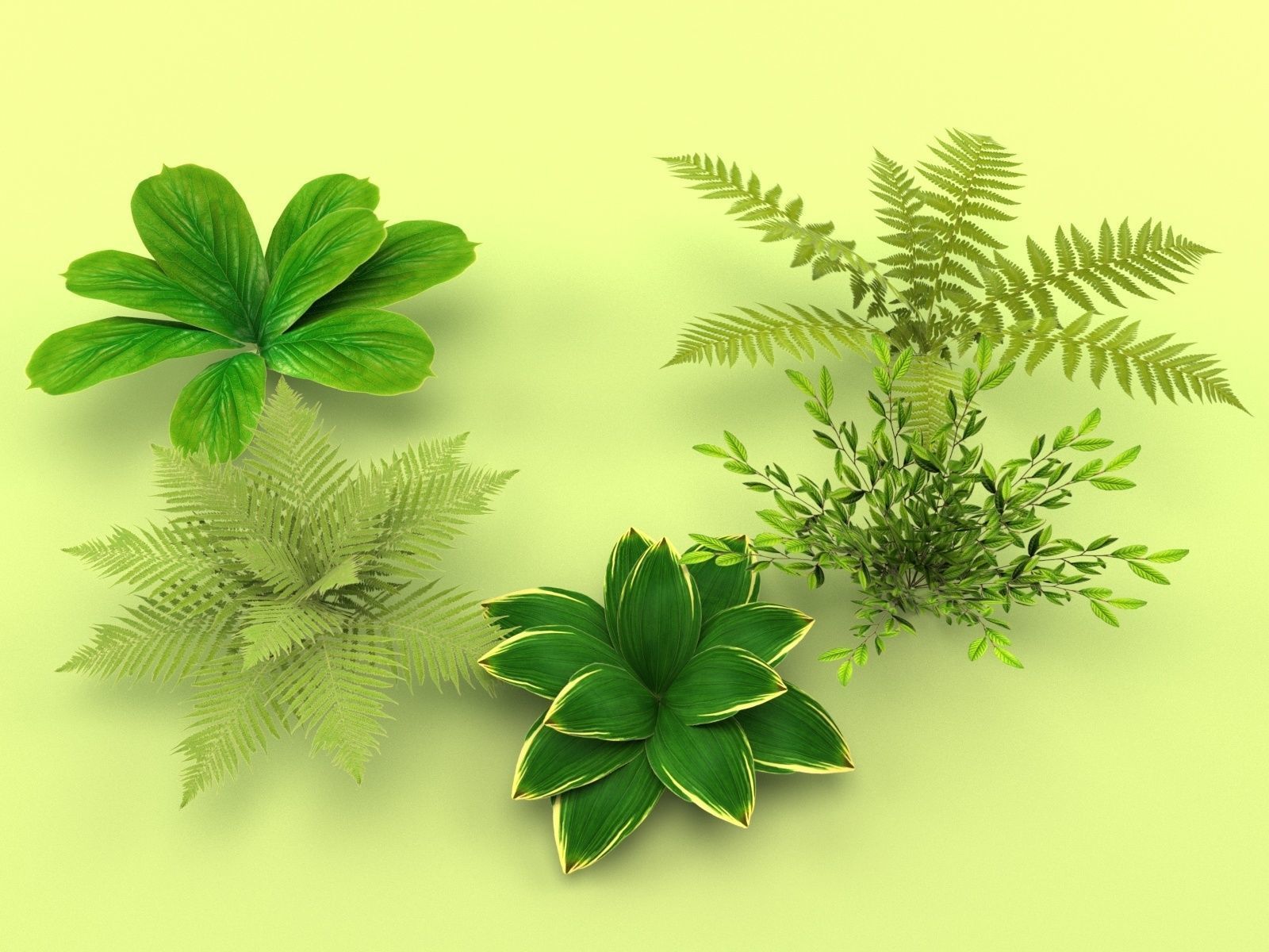 Bush 5in1