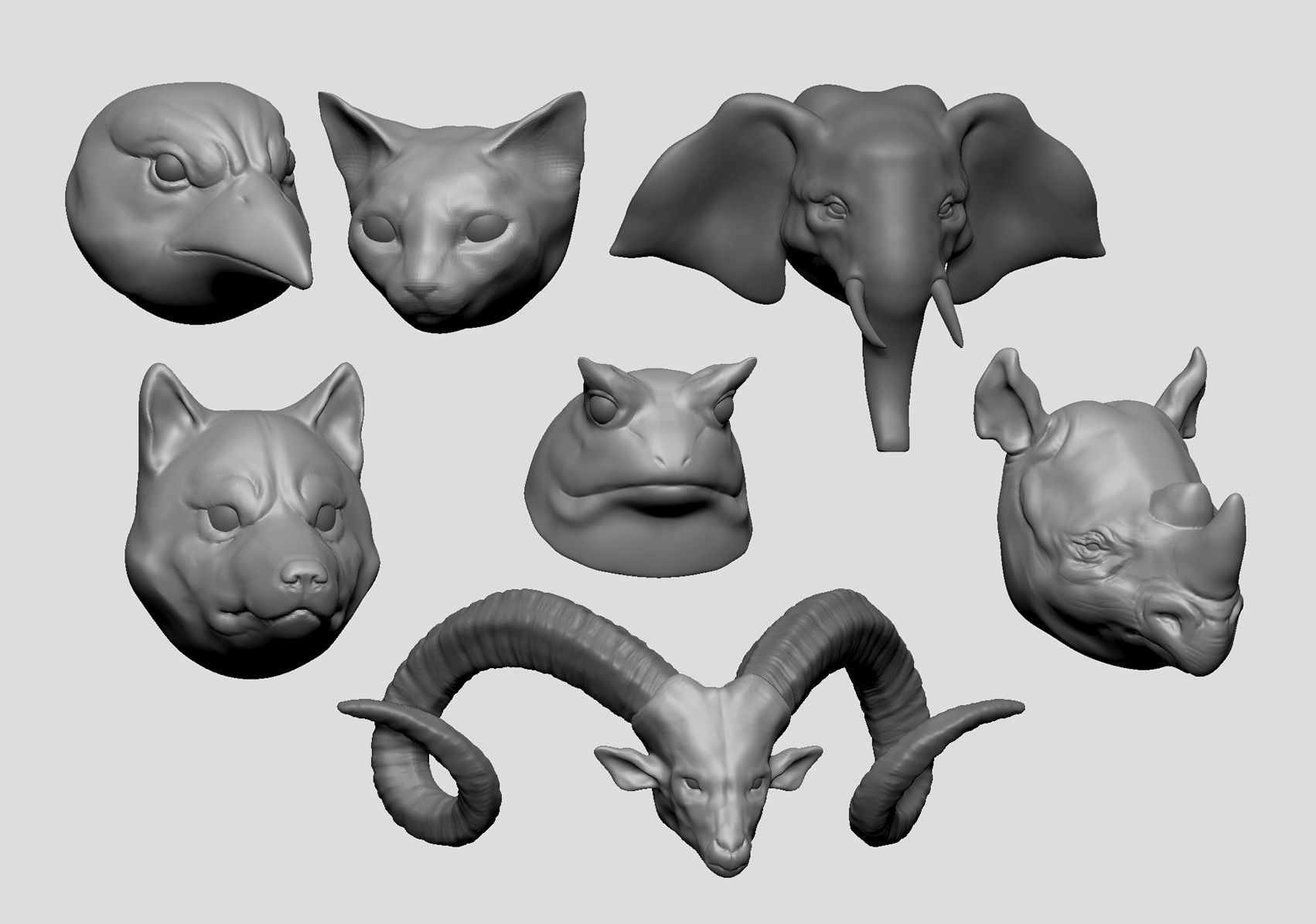Animals head base 3D model CGTrader