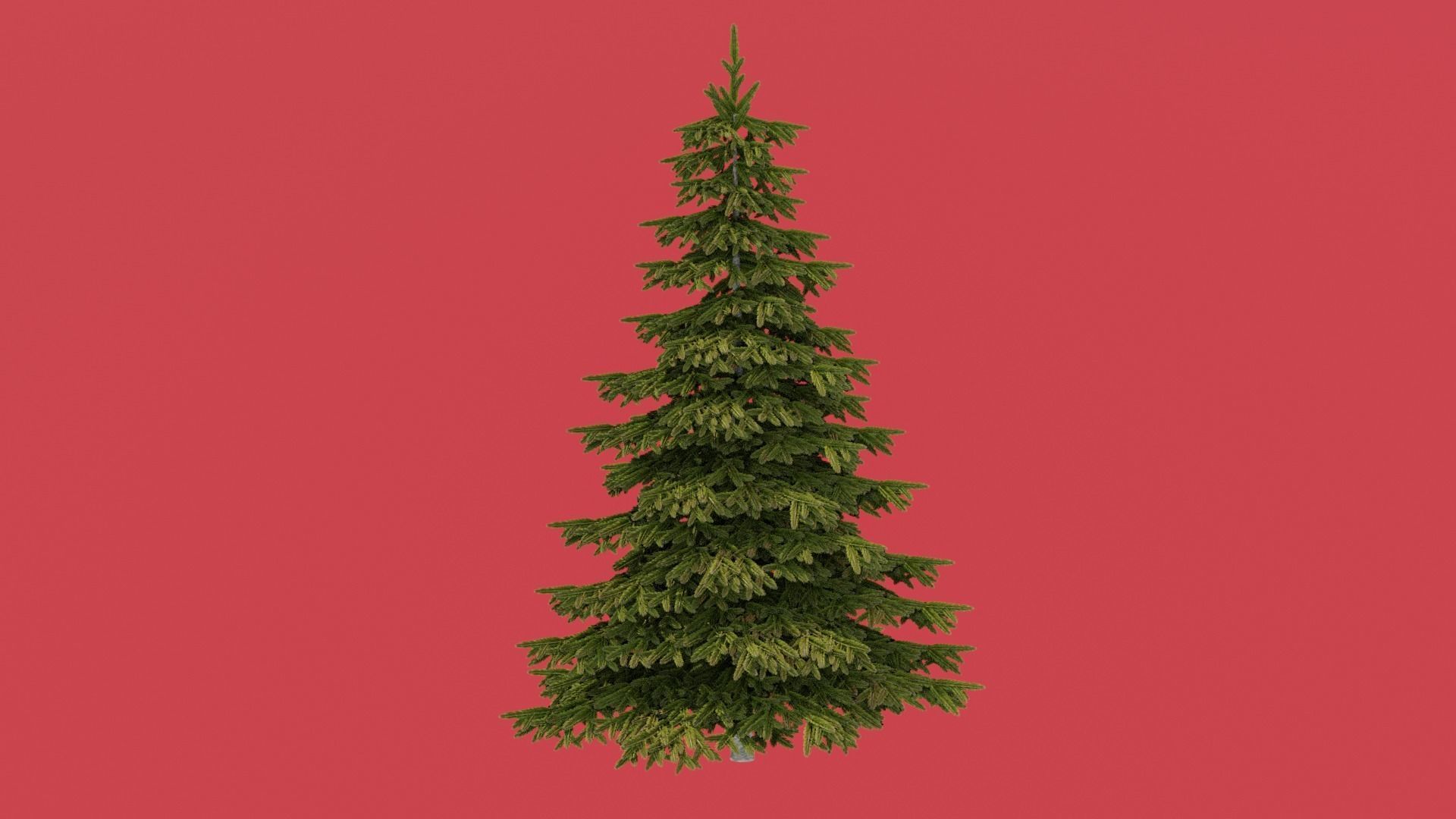 Christmas tree