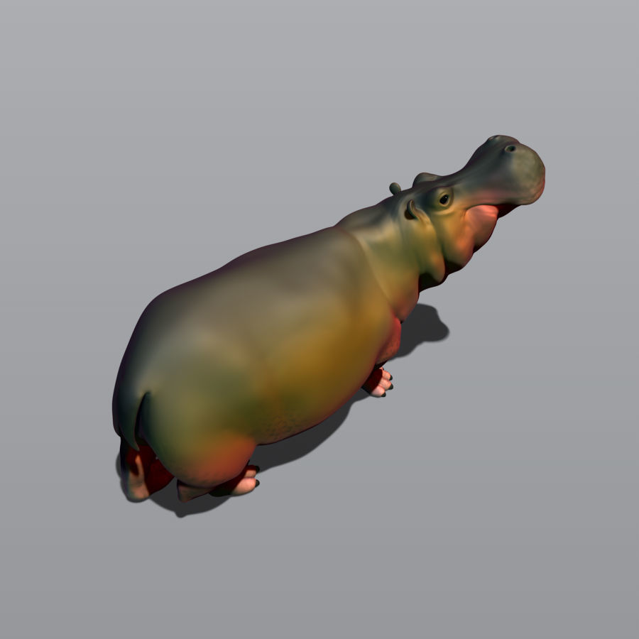hippopotamus