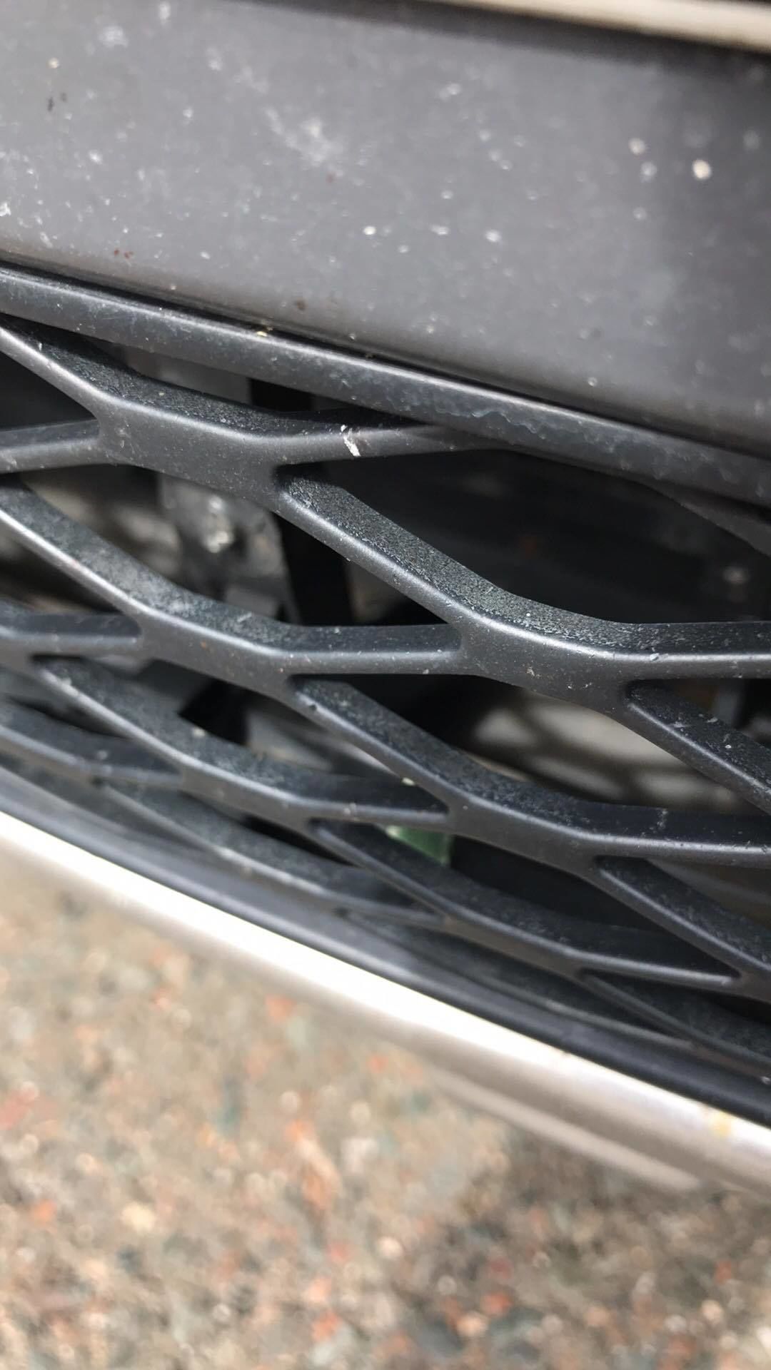 Audi honeycomb grill