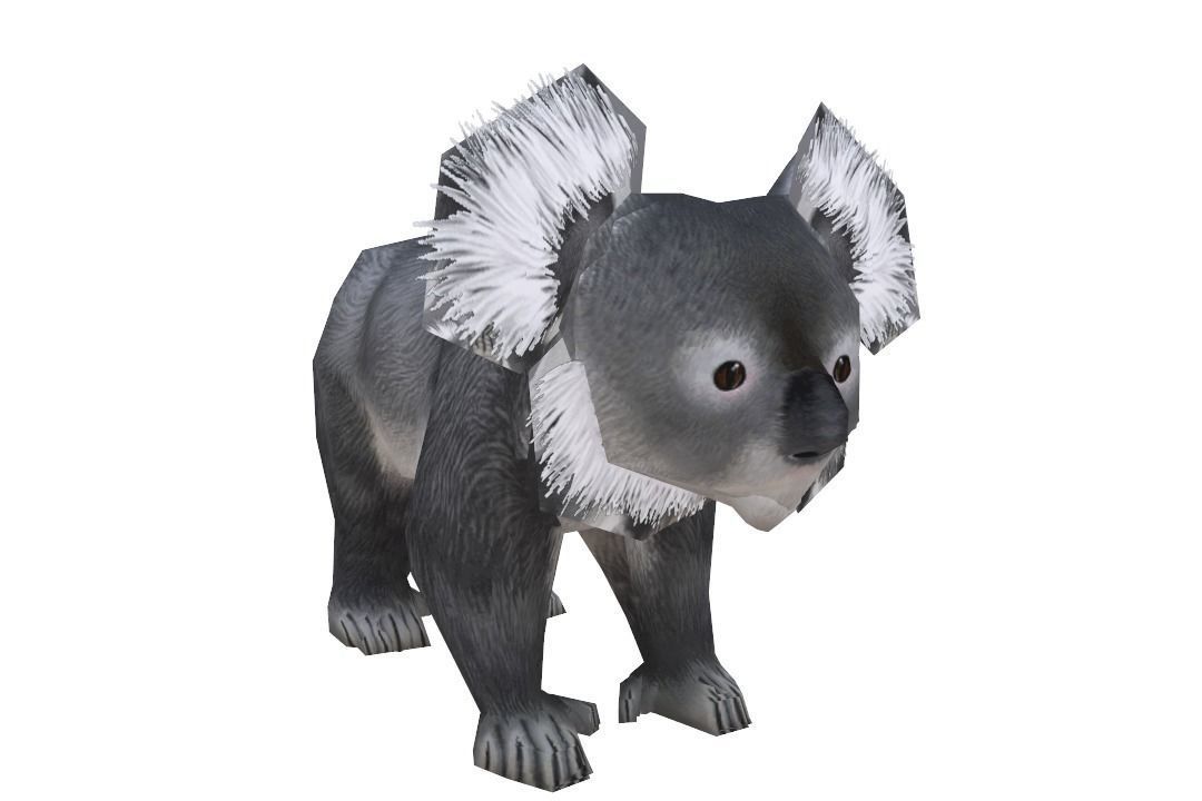 Koala 3D asset CGTrader
