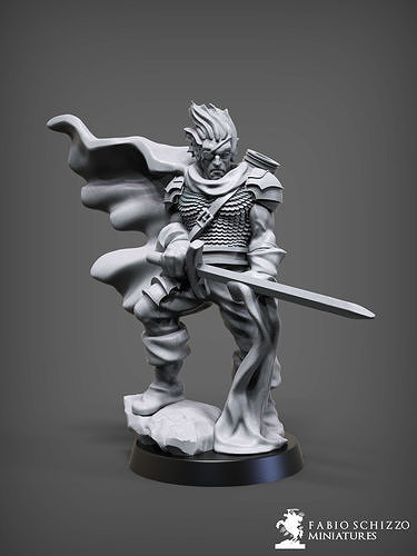 Drow Hero 3D model 3D printable | CGTrader