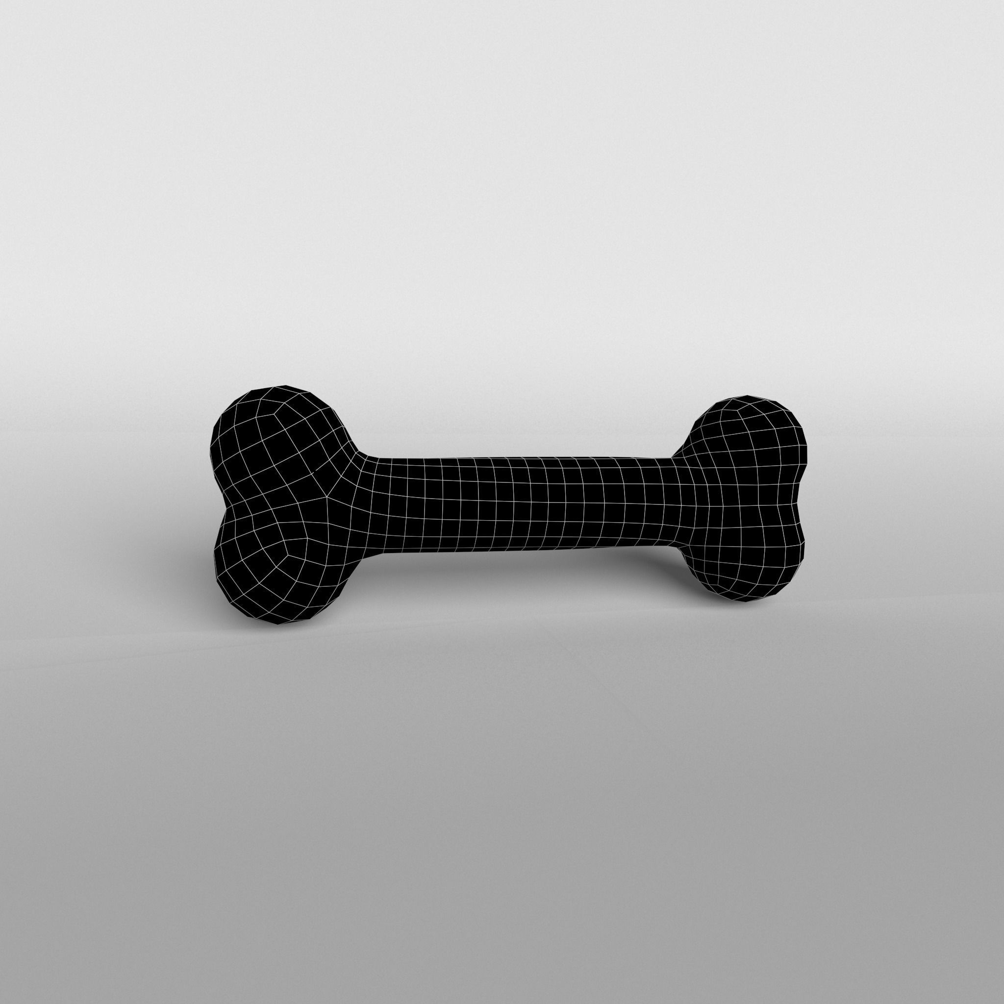 3D model Bone v1 003 VR / AR / low-poly | CGTrader