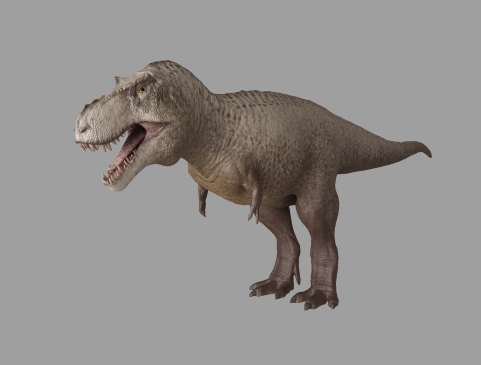 trex 3d model