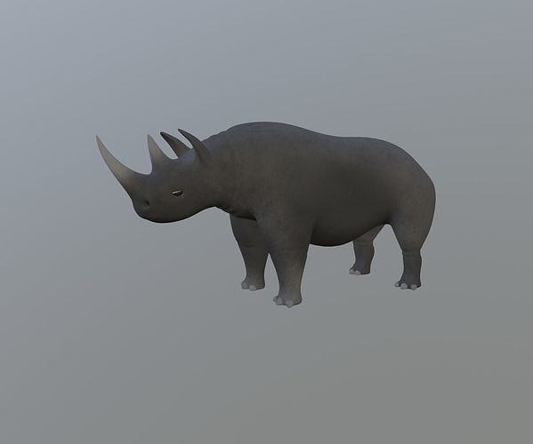 Rhinoceros 3D model rigged | CGTrader