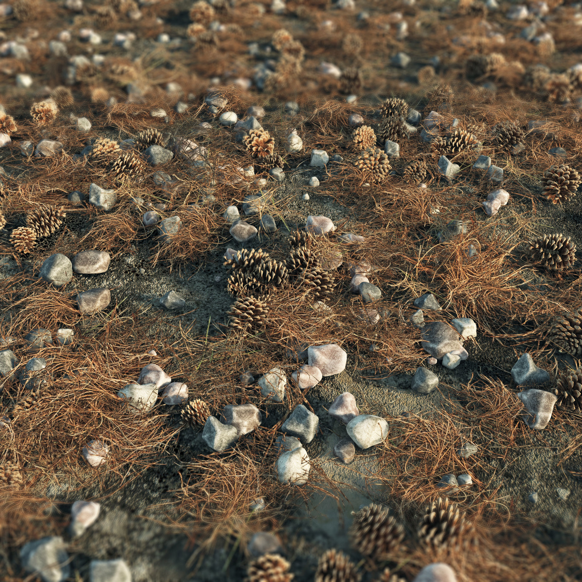 Scatter plant trees