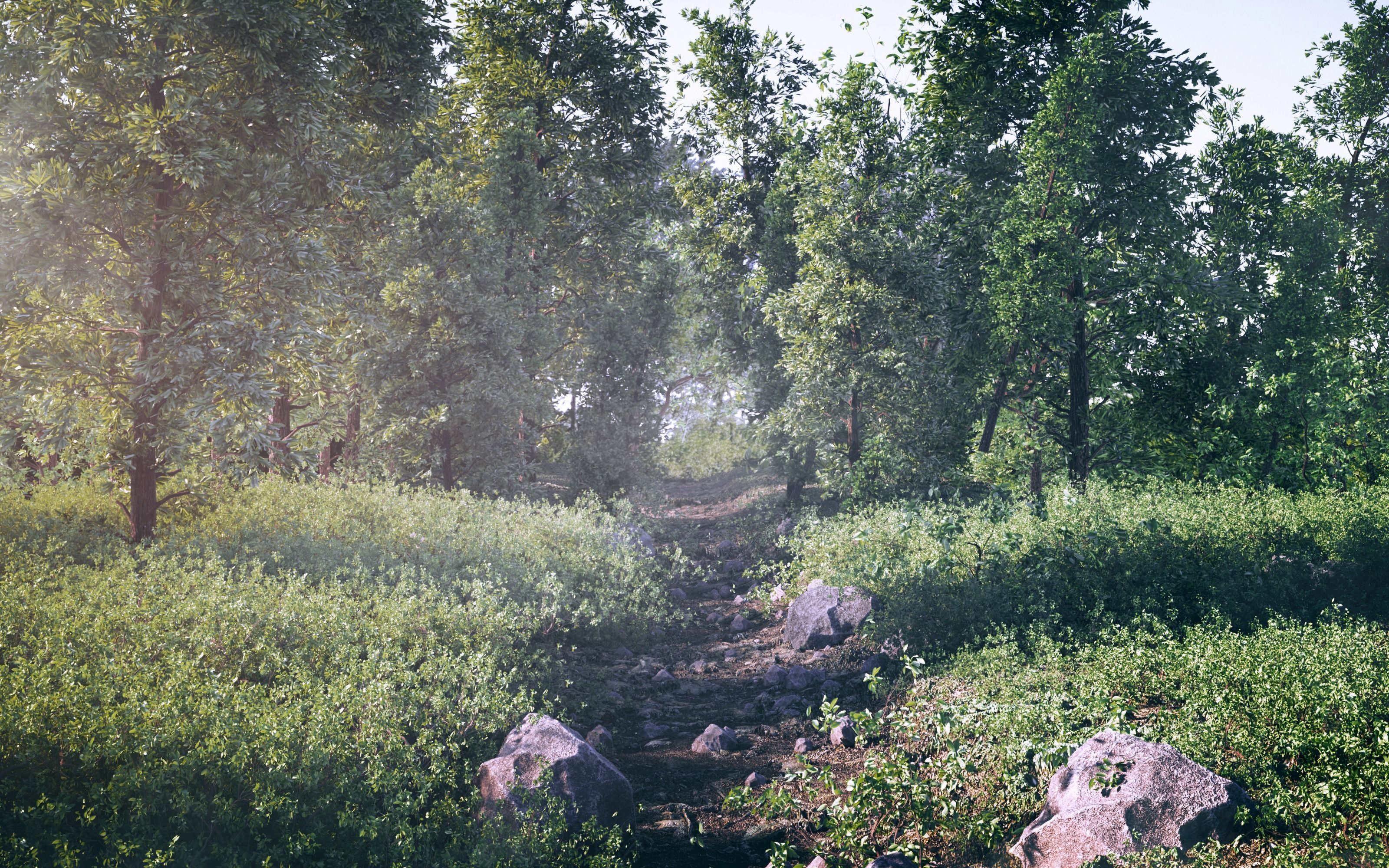 Forest Scene