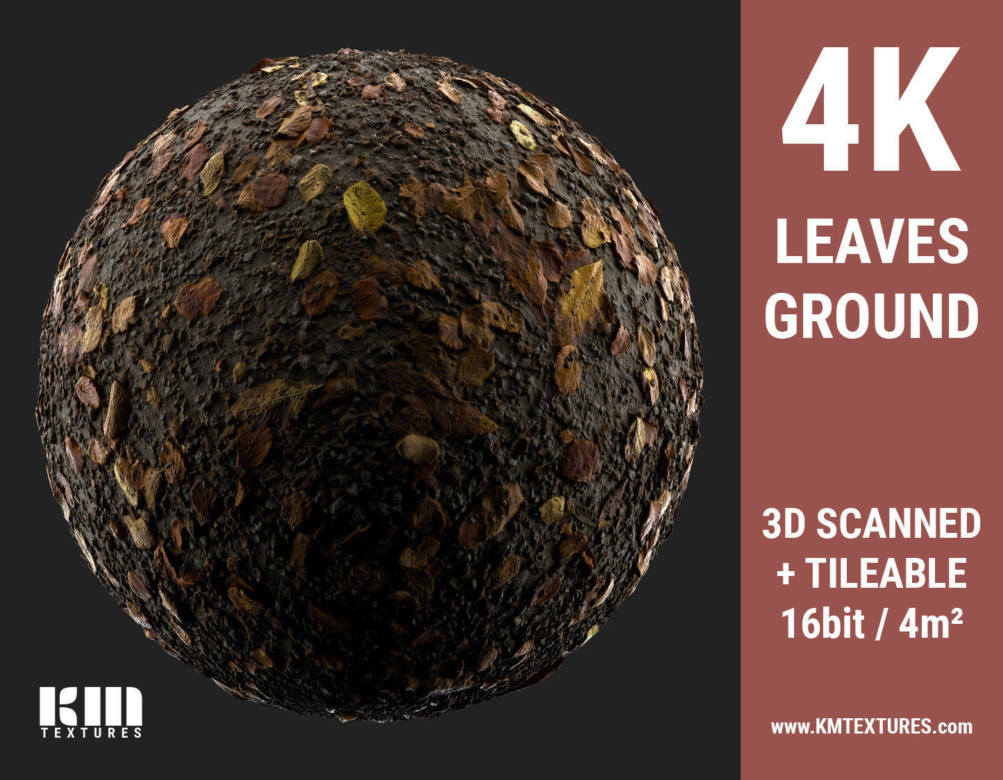 3D Scanned 4K Leaves Ground