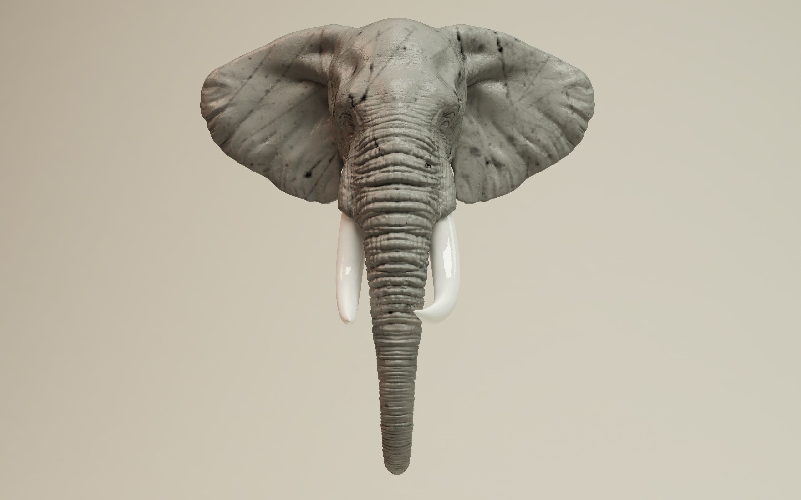 Elephant Head 3D model 3D printable | CGTrader