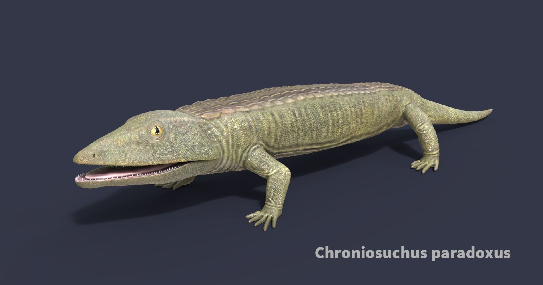 Extinct animals pack v5 3D model CGTrader