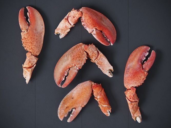 Lobster Claws Cooked 3D model CGTrader