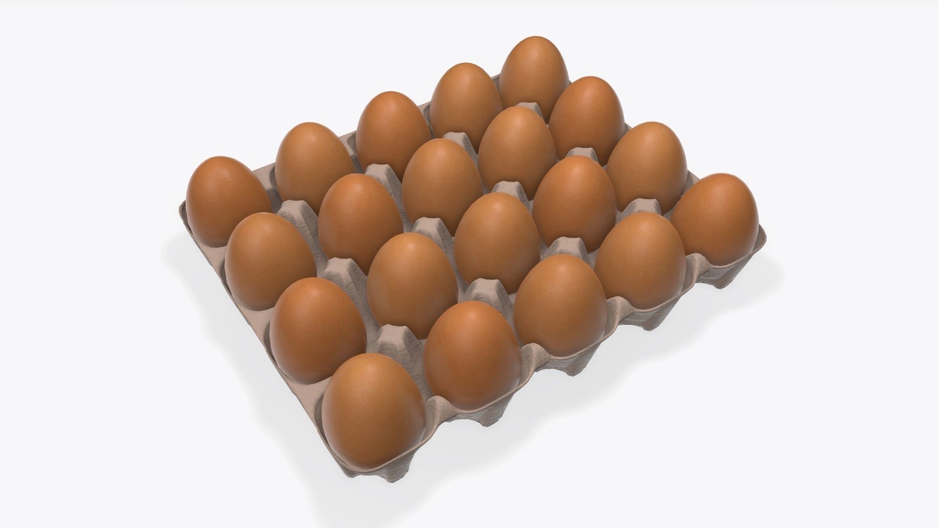 3D Egg cardboard base for 20 eggs CGTrader