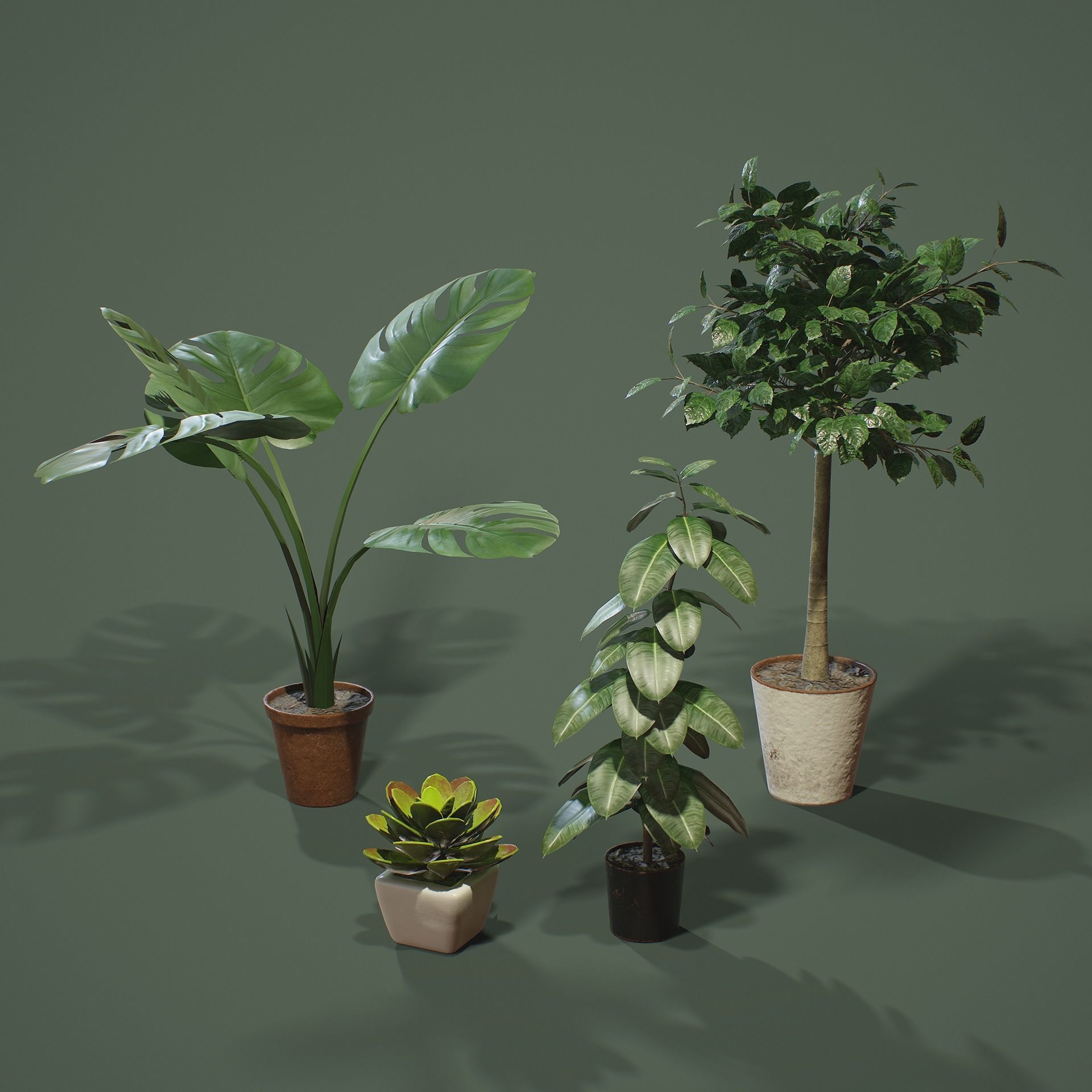 PBR House Plants