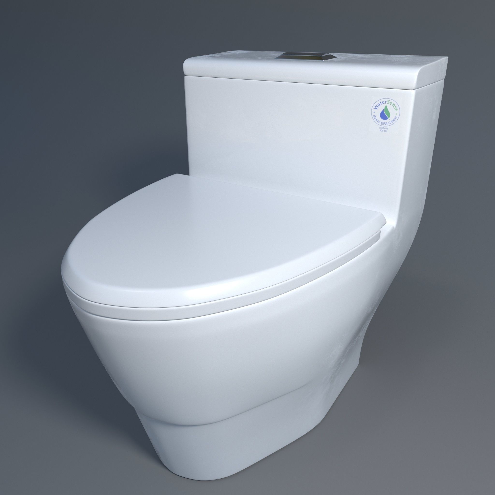 3D model ToiletWOODBRIDGE T0019 CGTrader