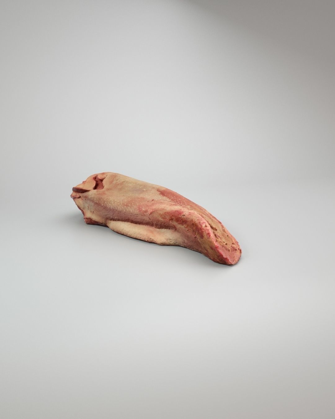 3D model Raw Pig Tongue VR / AR / low-poly | CGTrader