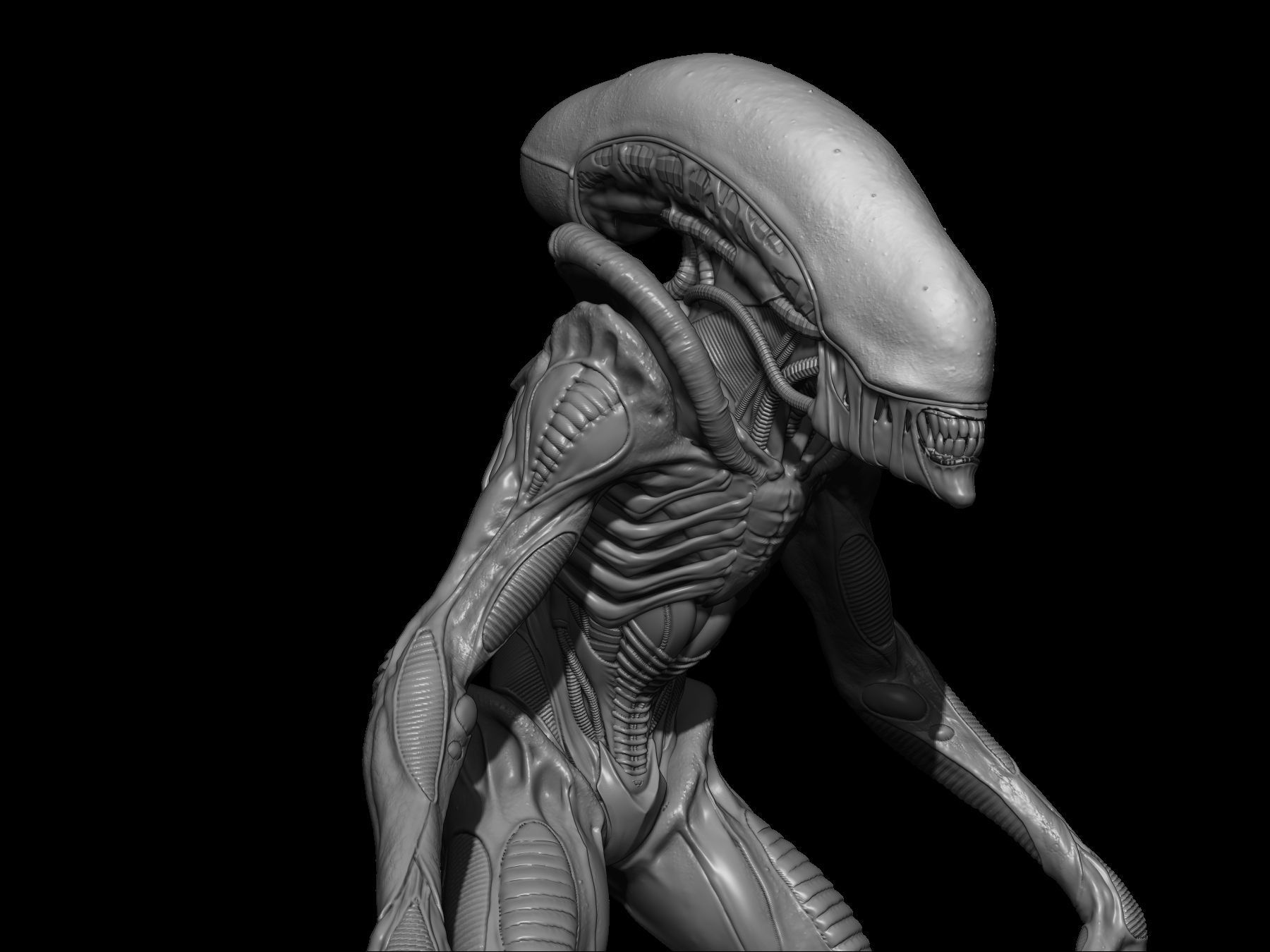 Alien 3D Models
