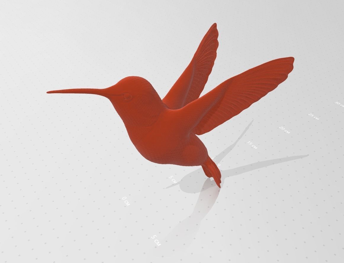 Elegant hummingbird 3D model 3D printable | CGTrader