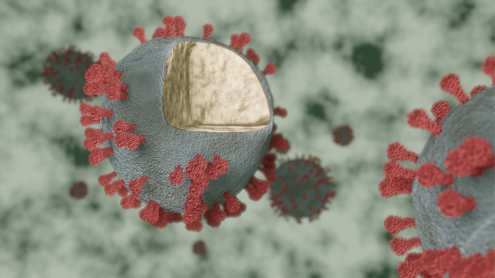 Corona Virus Covid 19 3D model CGTrader