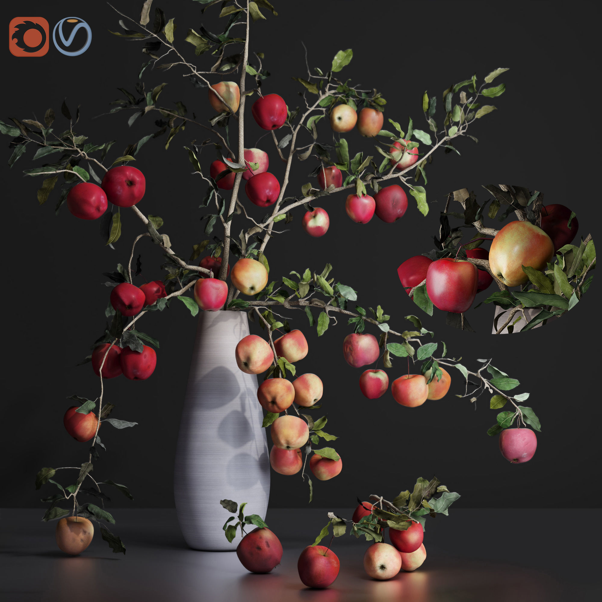 Red Cherry tomato apple branches Dry leaves Vase